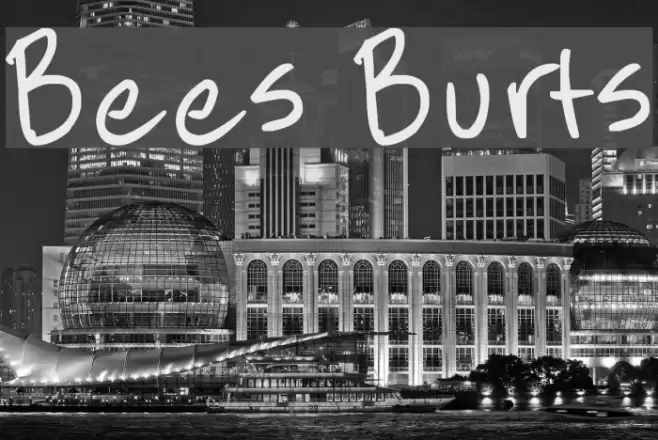 Bees Burts Font examples