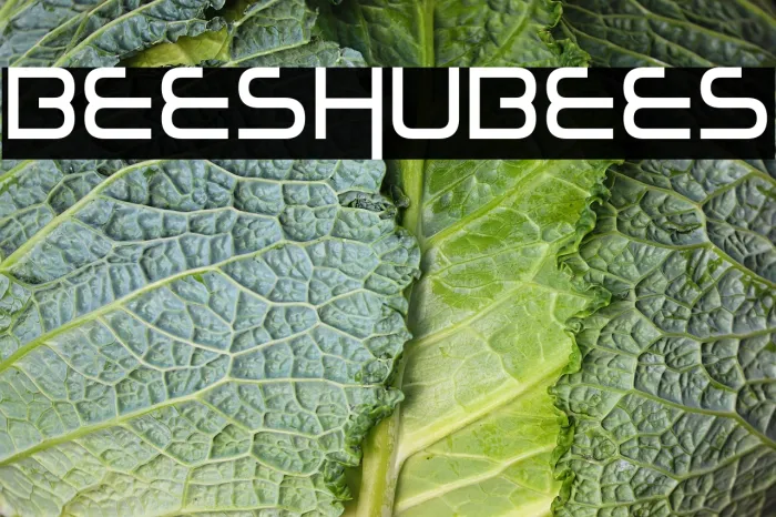 Bees Chubees Example 2