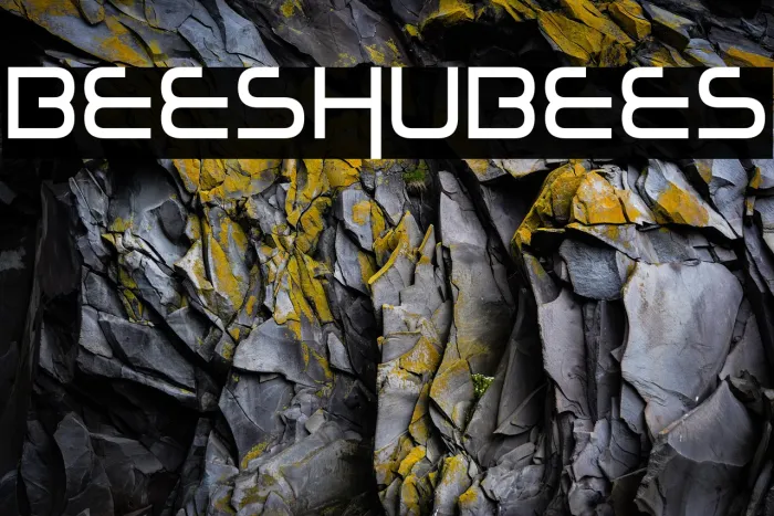 Bees Chubees Example 3