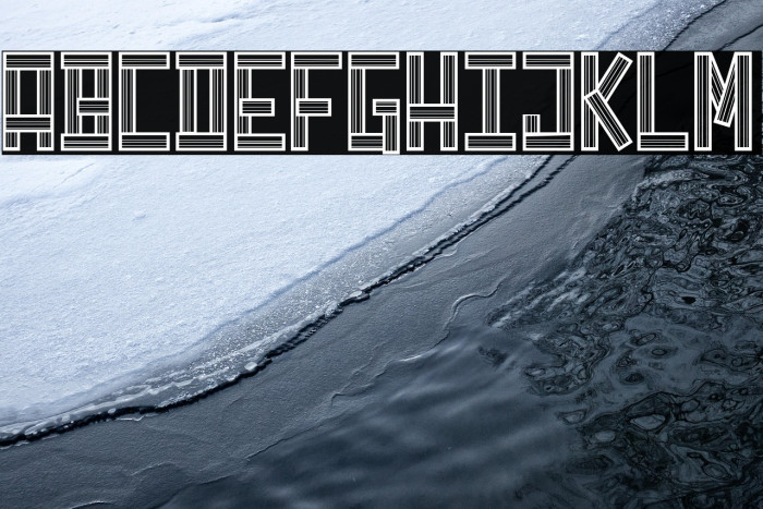 Bees Tracks_PersonalUseOnly Example 2