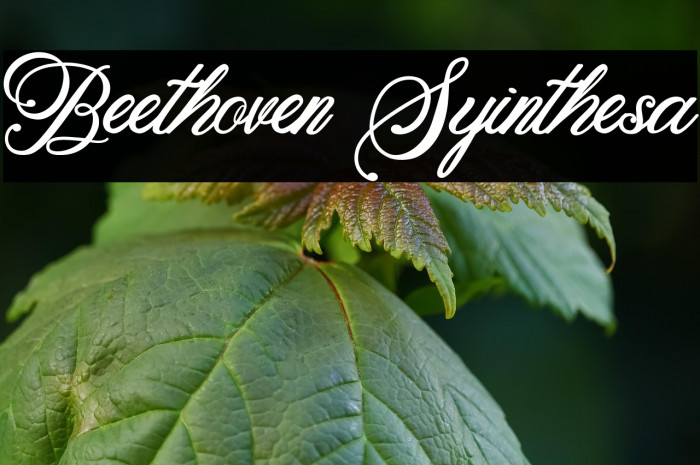 Beethoven Syinthesa Example 1