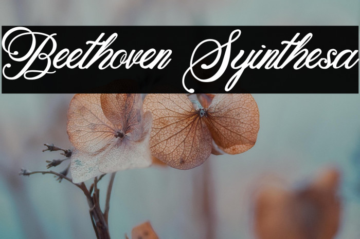 Beethoven Syinthesa Example 3