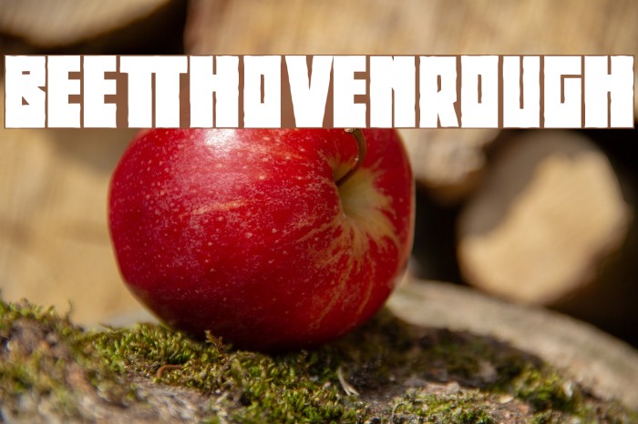 BeethovenRough Polices examples