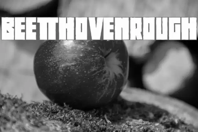 BeethovenRough Font examples