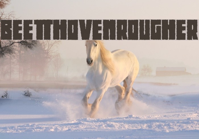 BeethovenRougher Font examples