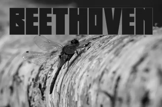 Beethoven フォント examples