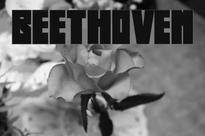 Beethoven フォント examples