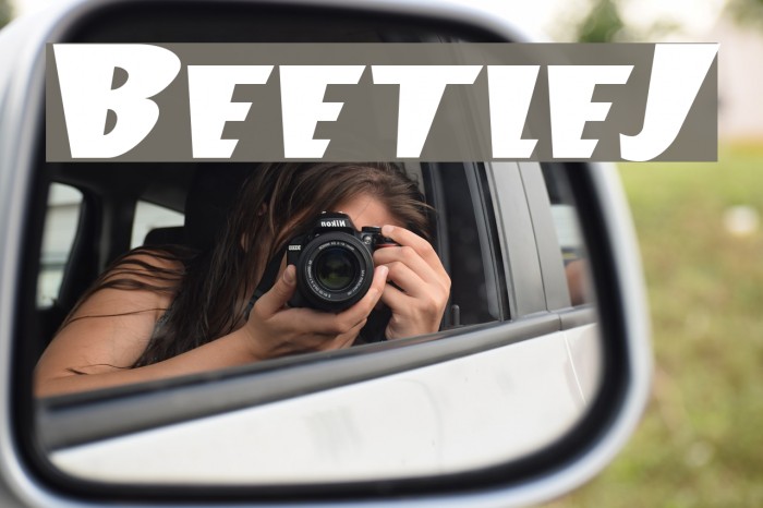 BeetleJ Polices examples
