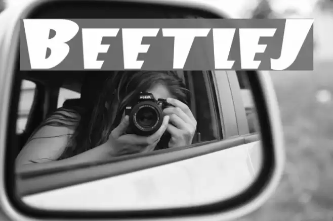 BeetleJ Polices examples
