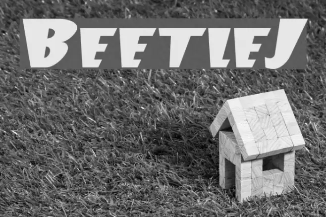 BeetleJ Polices examples