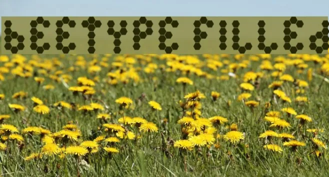 Beetype Filled Example 1