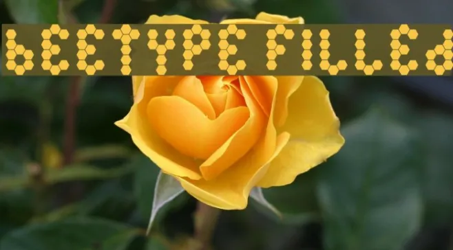 Beetype Filled Example 2