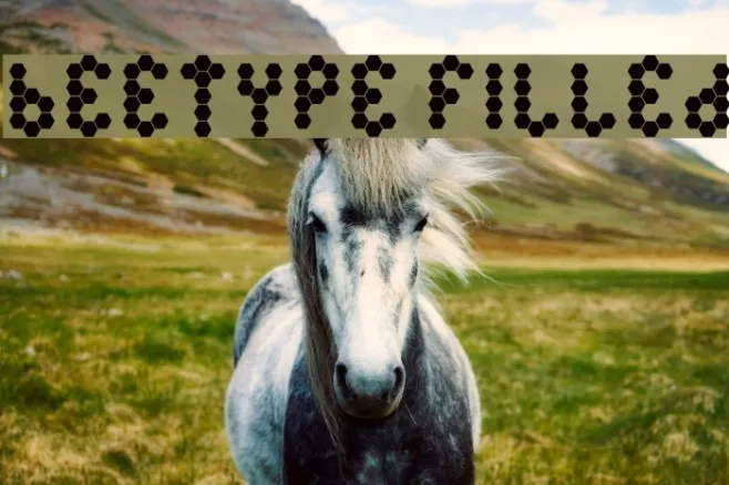 Beetype Filled Example 3