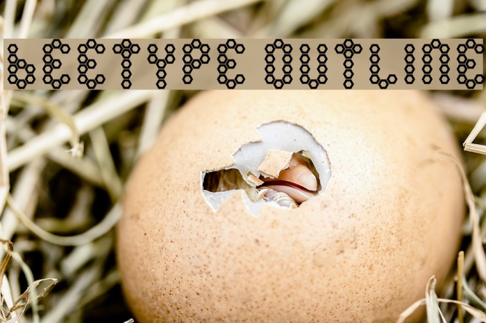 Beetype Outline Font examples