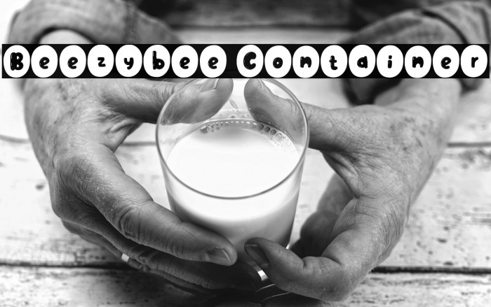 Beezybee Container Example 1