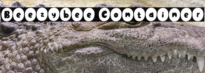 Beezybee Container Example 2