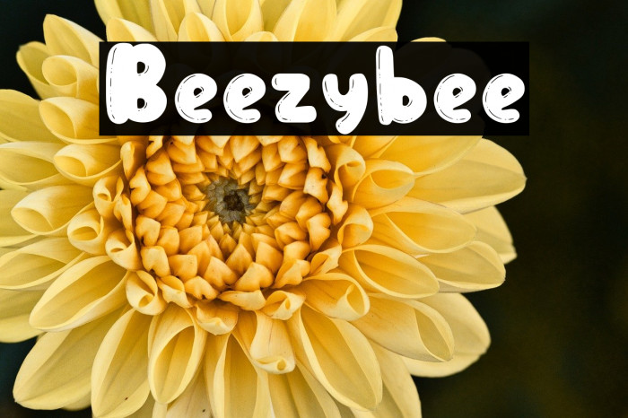 Beezybee Example 2