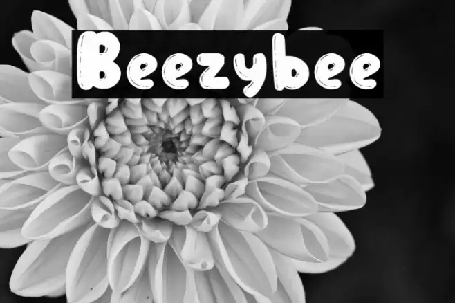 Beezybee Font examples