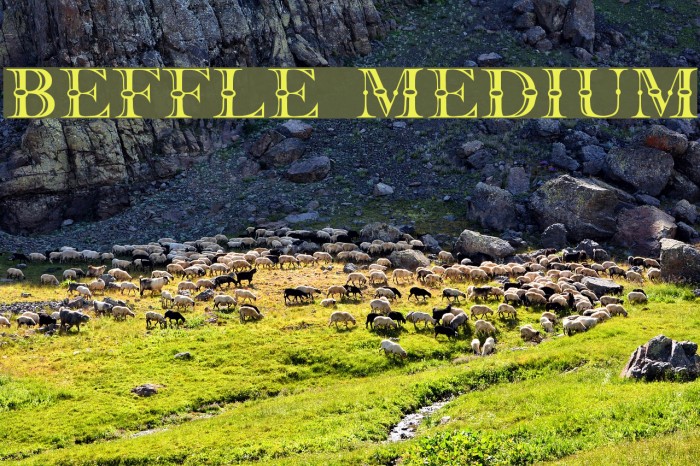 Beffle Medium Font examples