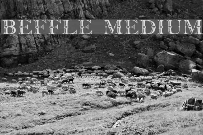 Beffle Medium Caratteri examples