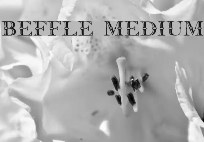 Beffle Medium Caratteri examples