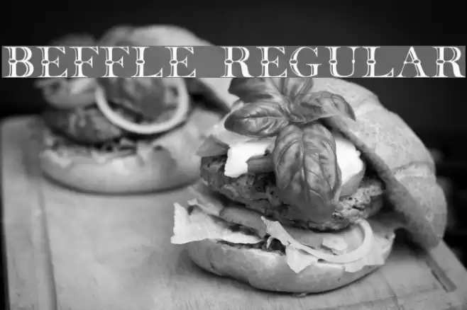 Beffle Regular Polices examples