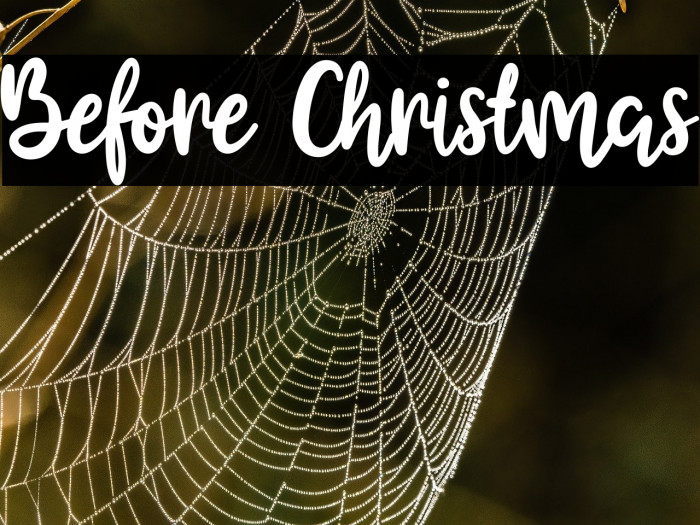 Before Christmas Example 3