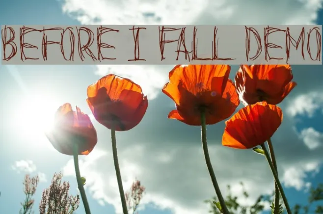 Before I Fall Demo Example 1