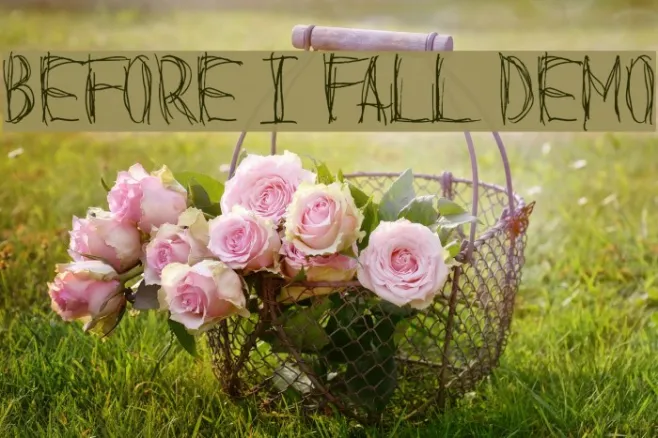 Before I Fall Demo Example 3
