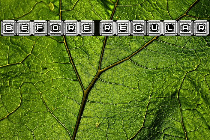 Before Regular Example 1