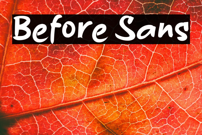 Before Sans Example 3