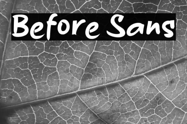 Before Sans Font examples