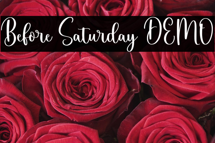 Before Saturday DEMO Example 1