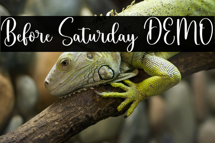 Before Saturday DEMO Example 3