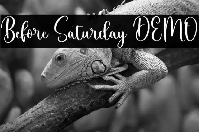 Before Saturday DEMO Caratteri examples