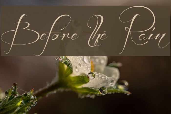 Before the Rain Font examples