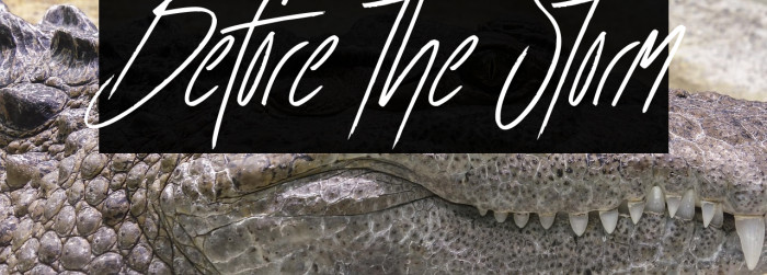 Before the Storm Example 3