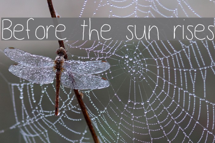 Before the sun rises Font examples