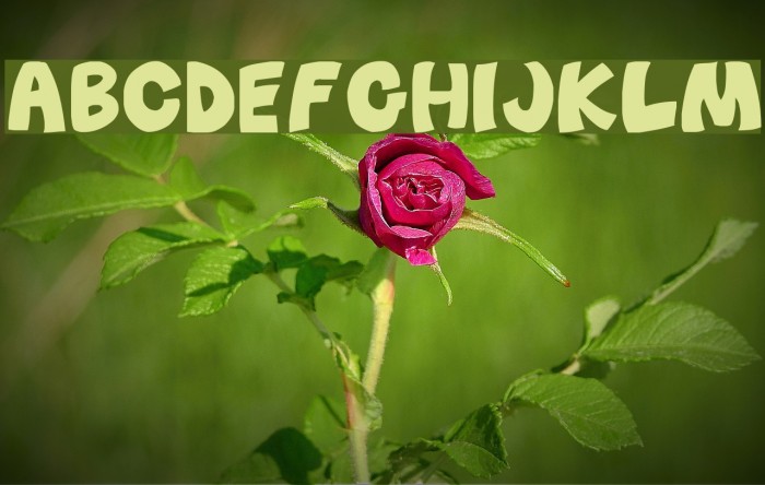 Before_Attack Font examples