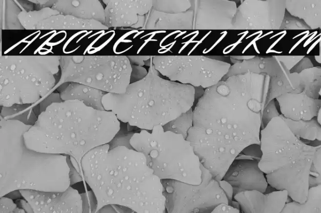 Begatory DEMO VERSION Italic フォント examples