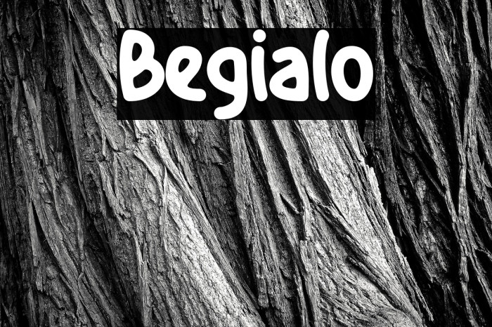 Begialo Example 2