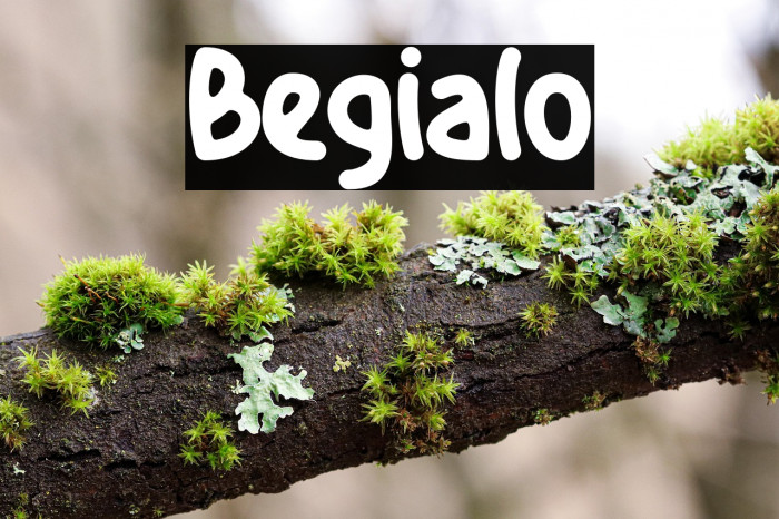 Begialo Example 3