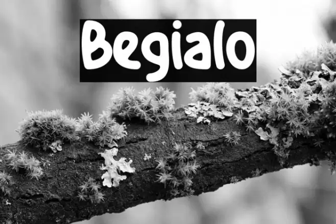 Begialo Schriftart examples