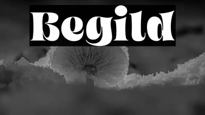 Begild Font examples