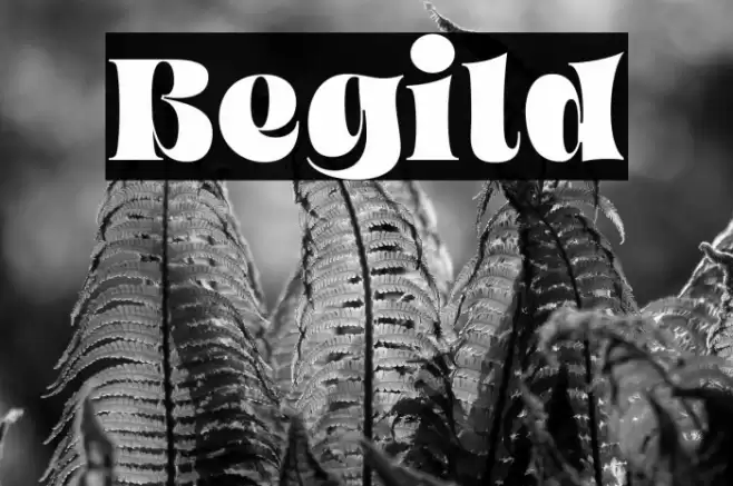 Begild Font examples