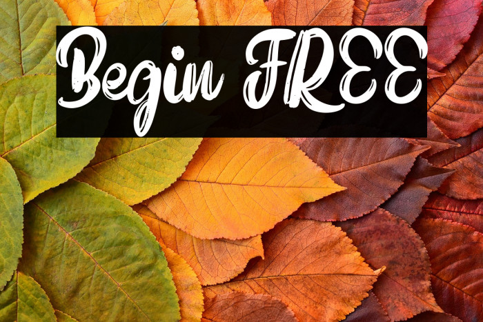 Begin FREE Example 3