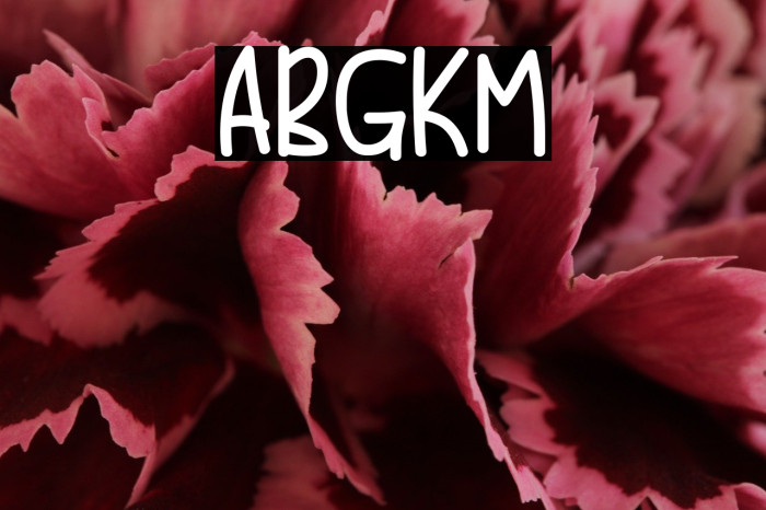 Begin Fresh Example 1