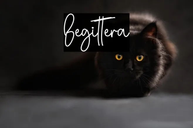 Begittera Example 1