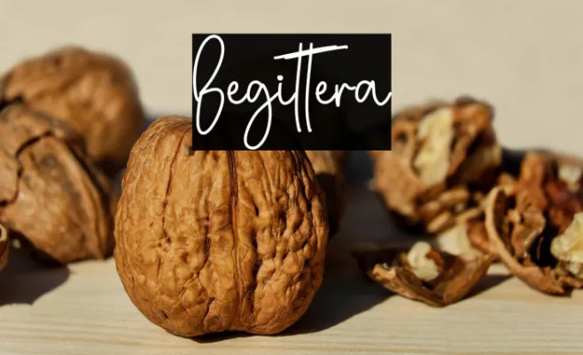 Begittera Example 2
