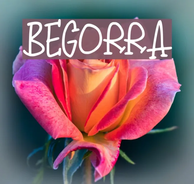 Begorra Example 2